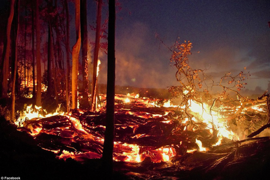 摄影师身处火山中拍熔岩烧毁树木瞬间