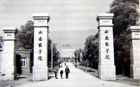 西南农学院老校门 注：这里走出了“杂交水稻之父”袁隆平、“戈壁滩上的明珠”吴明珠两位农学院士