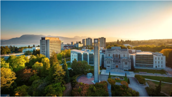 20200115_15791331382660.png image.png