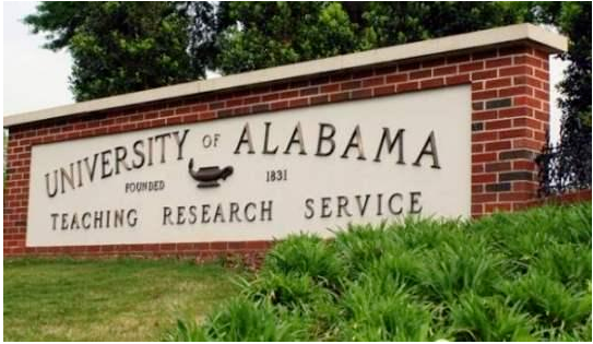 20200830_15988378273204.png image.png