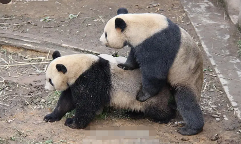 女博士后狂吻64岁院士 当事双方及家人回应来了