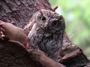 太慷慨!BC省这老太太捐了个价值300多万的岛 太慷慨!BC省这老太太捐了个价值300多万的岛