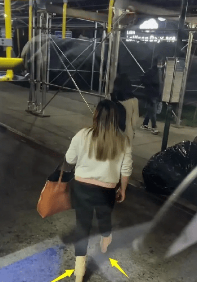 网友美国坐公交偶遇38岁凤姐 现状曝光