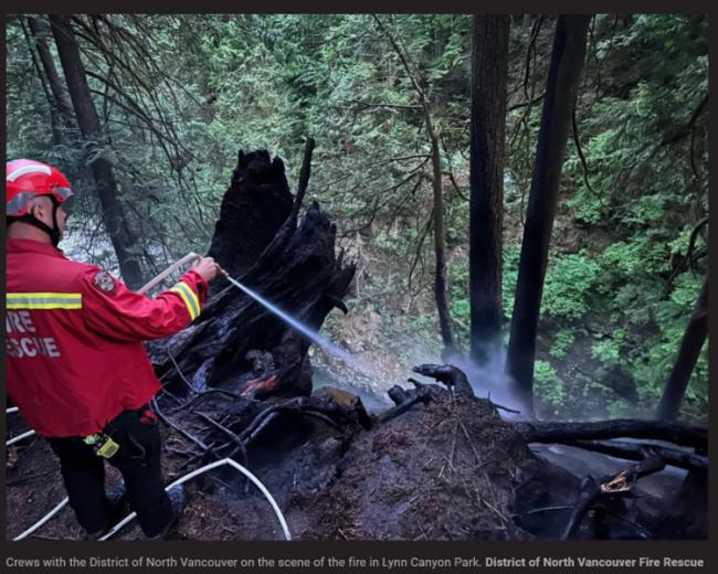 大温华人最喜爱的公园爆发山火 所有徒步道关闭