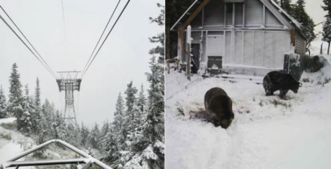 大温迎来今冬第一场雪 北岸松鸡山积雪12公分