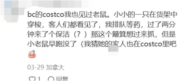 恶心！华人曝光Costco“鼠啃香肠” 卖得火热