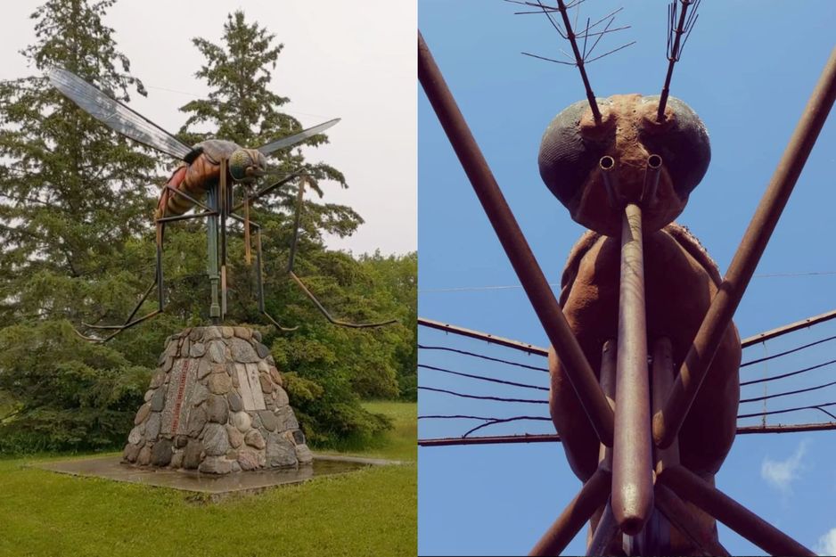 在加拿大乡村隐匿着一座巨大的蚊子纪念碑