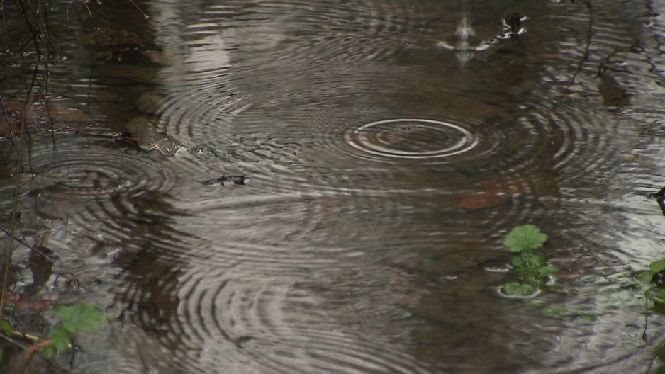 西摩河地区在2025年12月16日的北温哥华可见。(CityNews 图片)