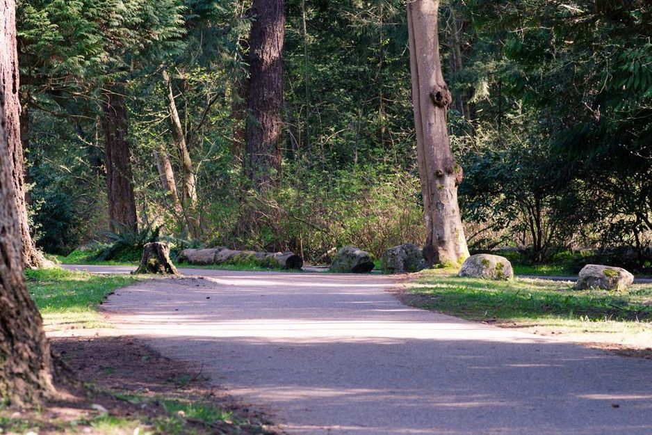 '系列猥亵行为'在繁忙的温哥华公园引发警方调查