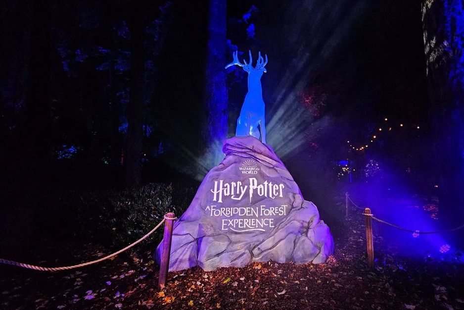 温哥华公园局开始招标过程,为斯坦利公园火车场地建设新的永久性景点