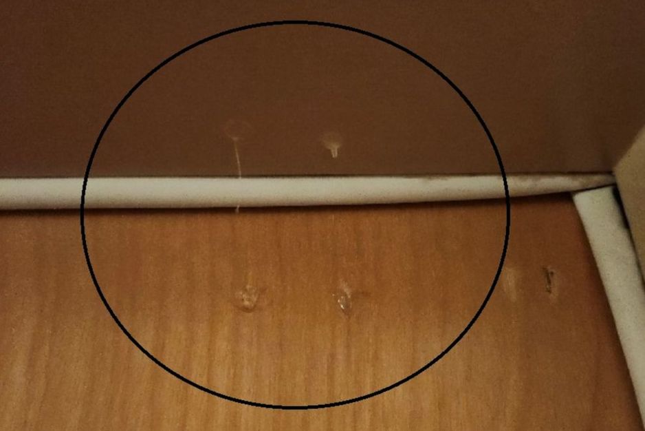 温哥华的住宅楼正遭到“粘性”小偷的袭击