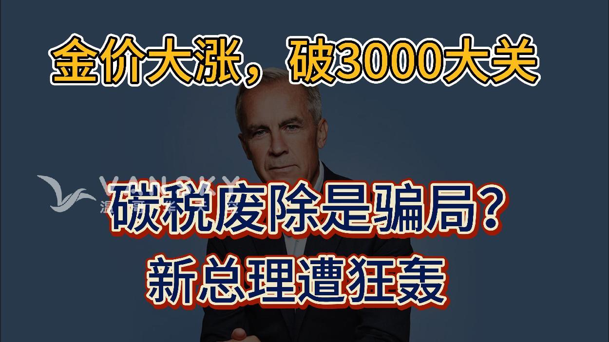 通用的占位符缩略图