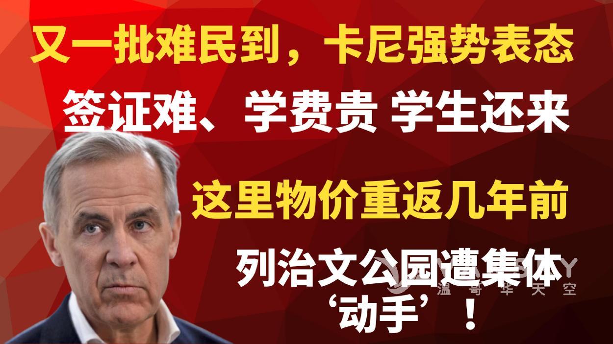通用的占位符缩略图