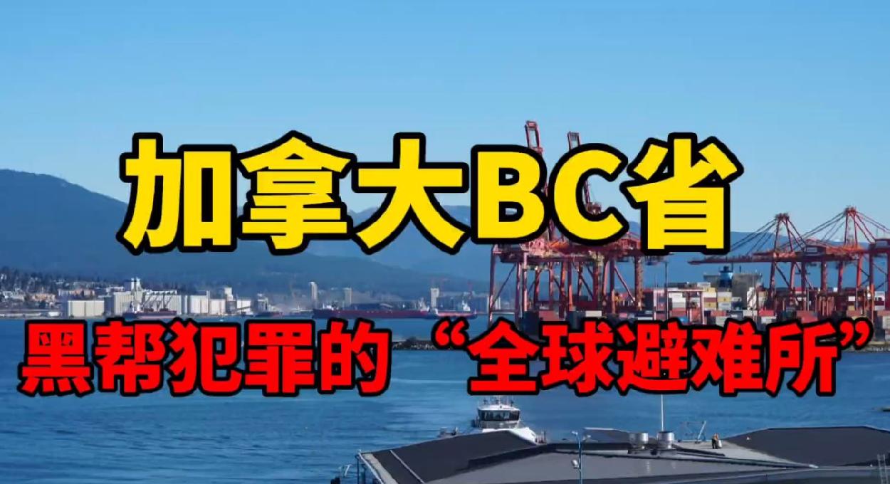 通用的占位符缩略图