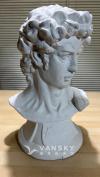 石膏教学模型（大卫头像）