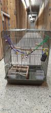 有鸟笼出售