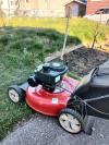 卖 汽油剪草机$260