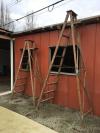 低价出售木梯三把