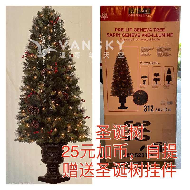 240708214420_christmas-tree.jpg