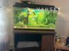 30加仑鱼缸和台架$60