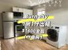 全新Burnaby Moscrop附近1房1厅出租