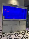 鱼缸Cleair Aquatics