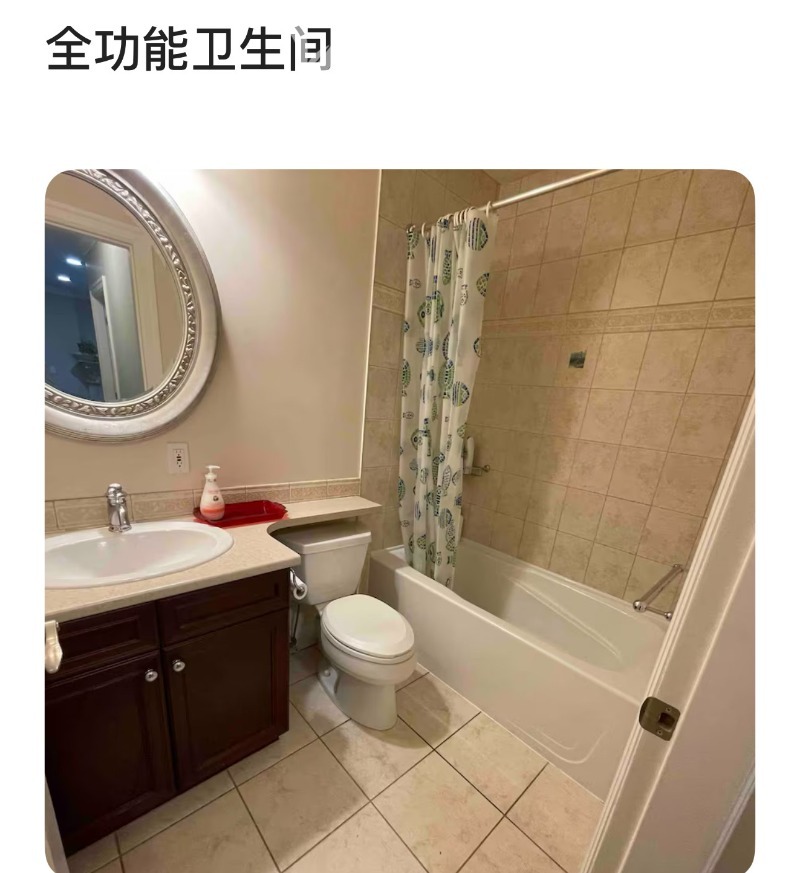 260409091736_IMG_8953.jpeg