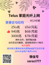Telus光纤上网EPP价$48起 免开通费。 Koodo手机卡$35/10gb $40/60gb美加墨