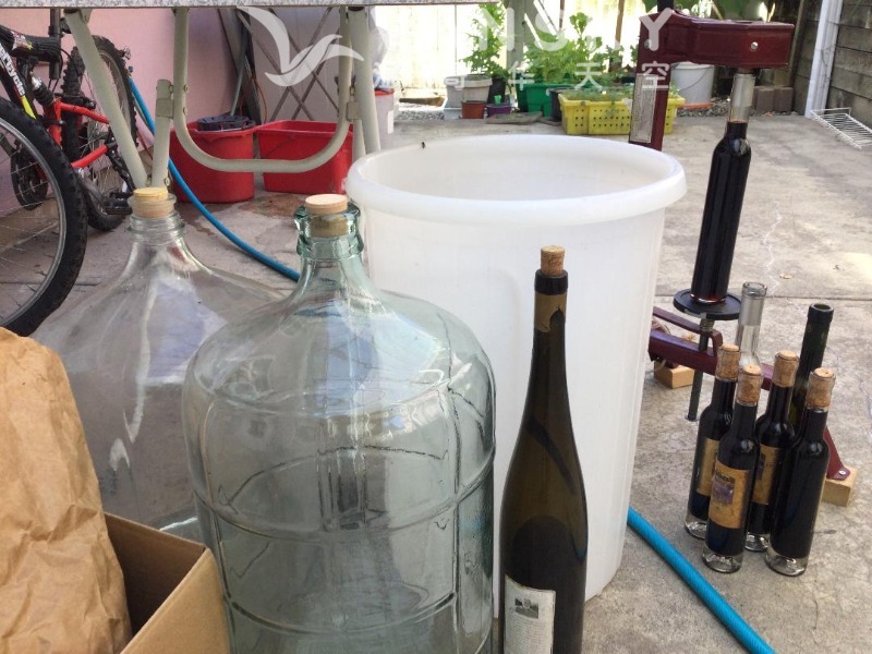 250526172732_wineMaking_1.jpg