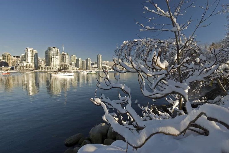 200110120627_snow-vancouver-tommorrow.jpg